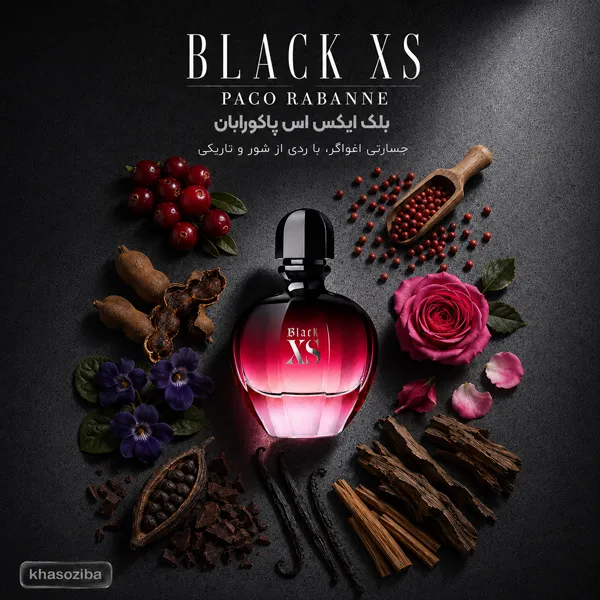 بلک ایکس اس